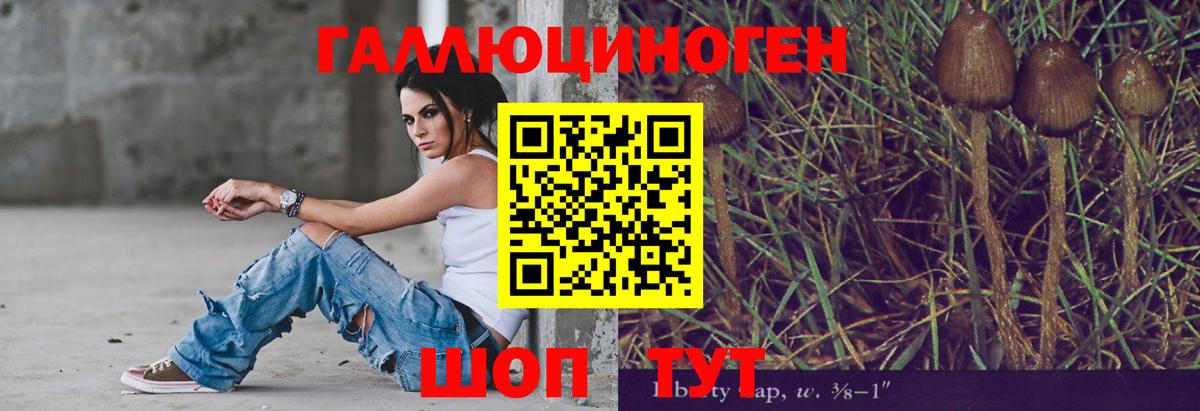 Надым  Псилоцибиновые грибы прущие грибы  Вход с VPN 